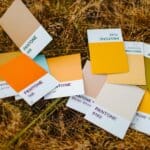 поєднання кольорів в одязі